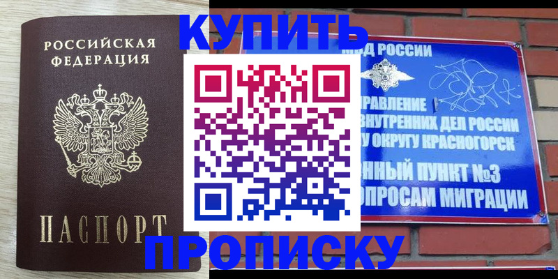 прописка гарантия в Заполярном